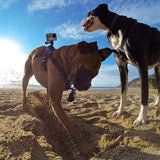 PetCam™ - SMART DOG CAMERA HARNESS