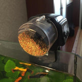 HungryFish™ - Automatic Fish Feeder