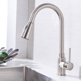 Pull-Out Kitchen Faucet