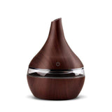 Premium Oil Diffuser