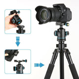 Professional 360 Degree Tripod Ball Head