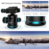 Professional 360 Degree Tripod Ball Head